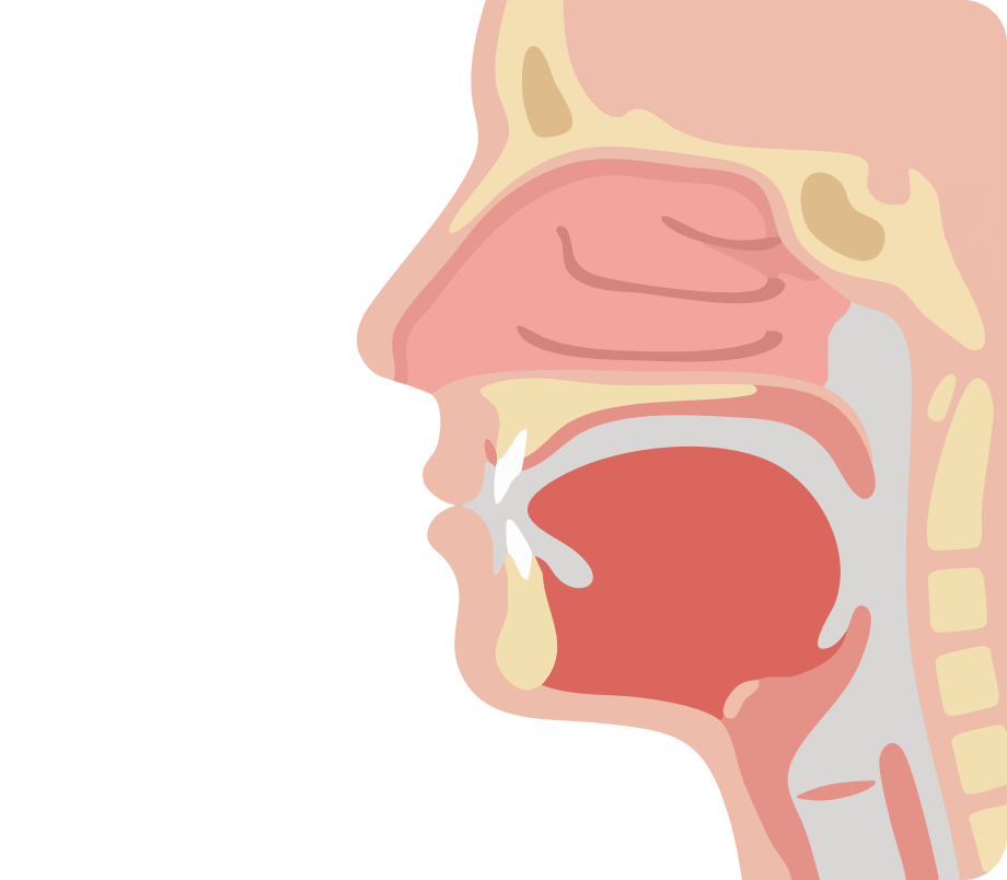 Здоровый нос